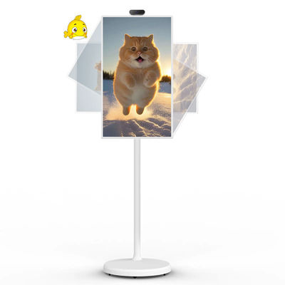 calidad  21" Android 12 System Stand By Me TV Smart Broadcast Machine Touch Screen fábrica
